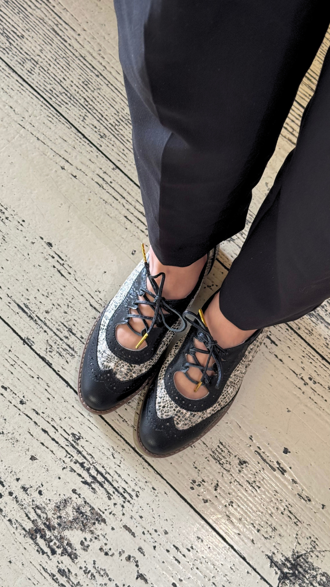 Oxford Classic PRE-SALE
